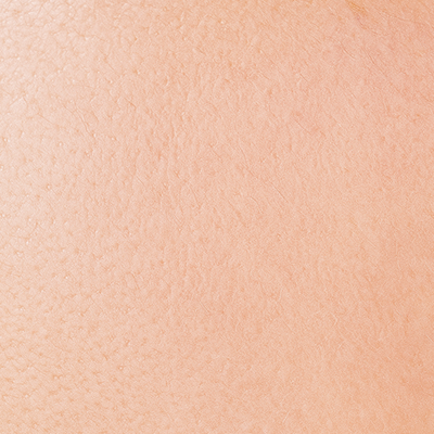 normal skin texture
