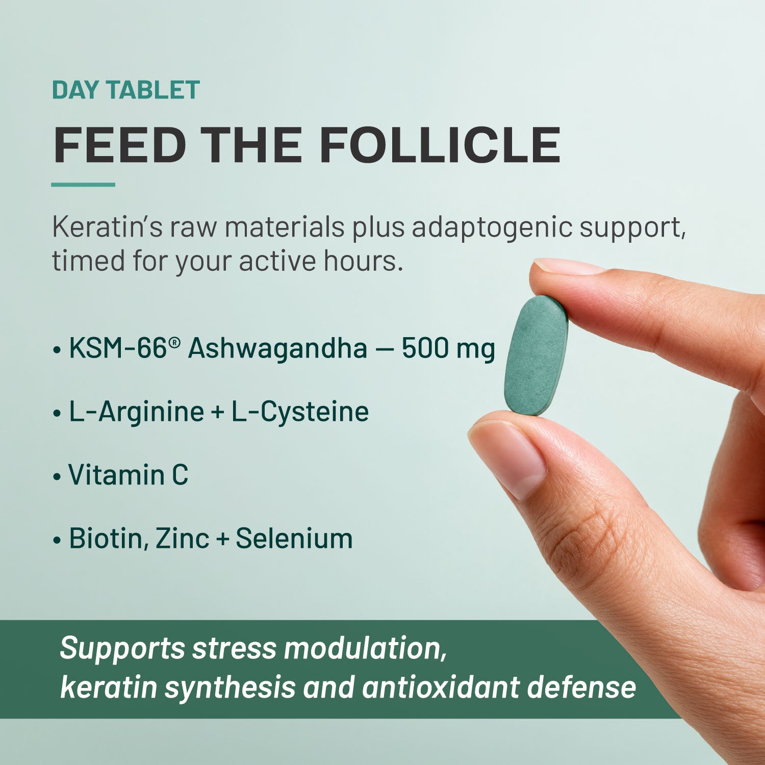 Keraboost 360 | 24-Hour Circadian Hair Nutrition